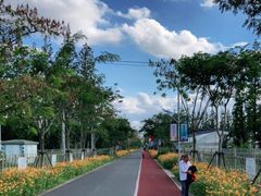 -上海长兴岛郊野公园