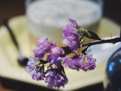 大理石芝士爆浆蛋糕-IFIF 如果花園(宽厚里店)