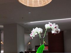 -雲說·花(西宸天街店)