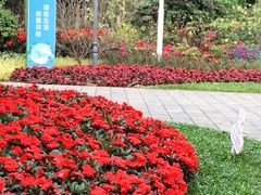 -荔枝公园(福田区)