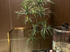 -正清和·推拿养生(二七广场店)