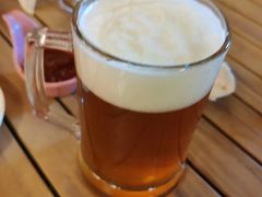 -麦落精酿啤酒餐吧(先农大院店)
