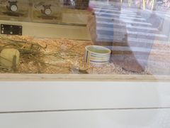 -龙猫仔乐园(惠福东路店)