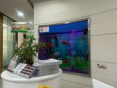 -雅悦齿科(顾村公园店)