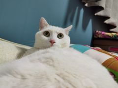 -北京恒爱动物医院(清景园分院)