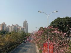 -南宁南湖公园