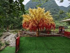 -靖西鹅泉风景区
