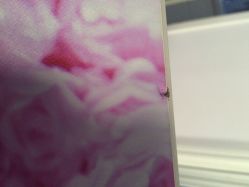 龙文宝贝婴儿理发(专业婴儿理发)-龙文宝贝上门婴儿理发满月剃胎毛(总店)