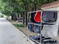 -北京群众马术培训基地