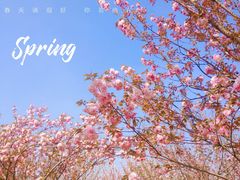 -LELECHA乐乐茶(新街口大洋店)