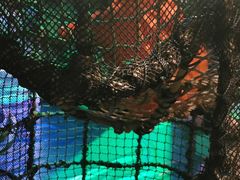 -珠海横琴国家地理探险家中心(创新方)