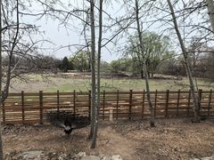 -北京麋鹿生态实验中心