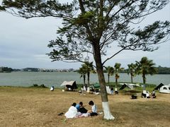 -仙湖旅游度假区