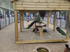 -长白岛森林公园