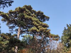 -香山公园