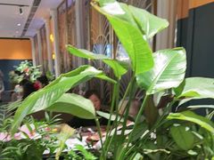 -半秋山西餐厅(巴南万达广场店)