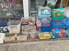 -花鸟鱼虫鲜花绿植市场(玉泉路店)