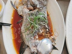 -钱塘秋荷(开鲁路店)