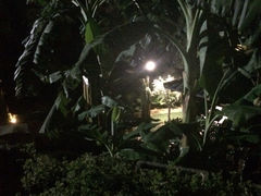 iphone_upload_pic-厦门园林植物园-植物园滴水山房