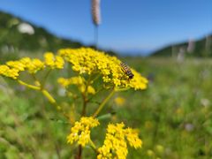 -白草畔自然风景区