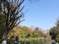 -花溪王记牛肉粉(四季花溪商场店)