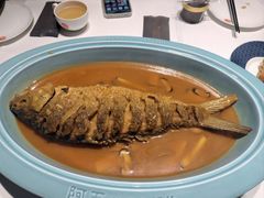 -阿五黄河大鲤鱼(纬三路店)