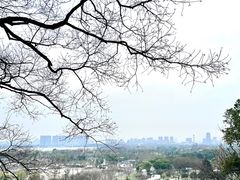 -苏州上方山国家森林公园