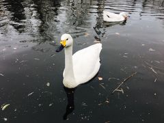 -济南南郊宾馆