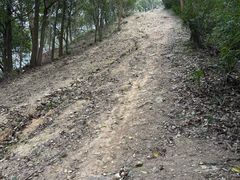 -北仑森林植物园