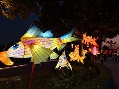 -七彩云南欢乐世界