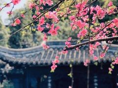-口岸雕花楼