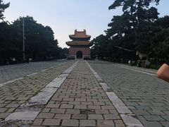 -北陵公园