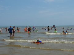 -日照海滨国家森林公园