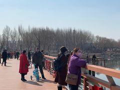 -丁香湖公园