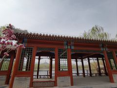 -北坞公园