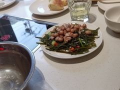 -蝎王府羊蝎子(北大地店)