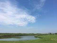 球场-滨海高尔夫俱乐部