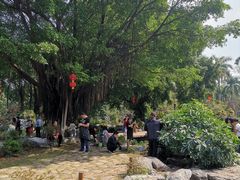 -东莞植物园