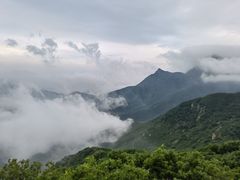 -白草畔自然风景区