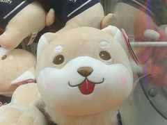 -小象猛犸(炫地购物中心店)
