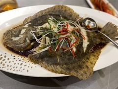 多宝鱼-神洲四海大酒楼(王府井澳门中心店)