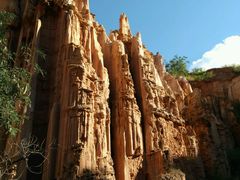 -千年银杏谷文化旅游区
