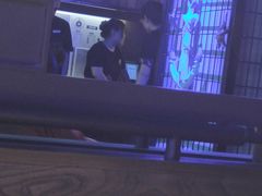 -胖哥俩肉蟹煲(爱琴海购物公园店)