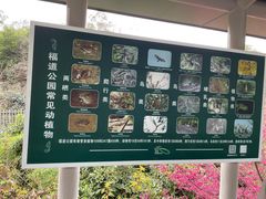 -福道