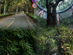 -燕晗山郊野公园