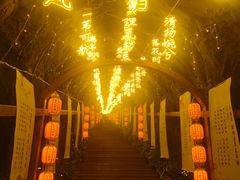 -秦岭天竺山生态文化旅游景区