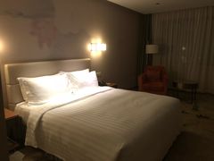 -北京广安门维景国际大酒店