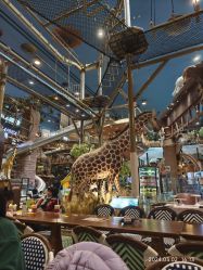 点击看大图 -卡通尼·Safari非洲探索乐园·生日会(金桥国际商业广场店)