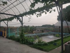 -美家乐农庄·露营·团建(大治路店)