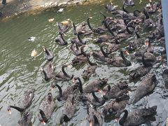 -长白岛森林公园